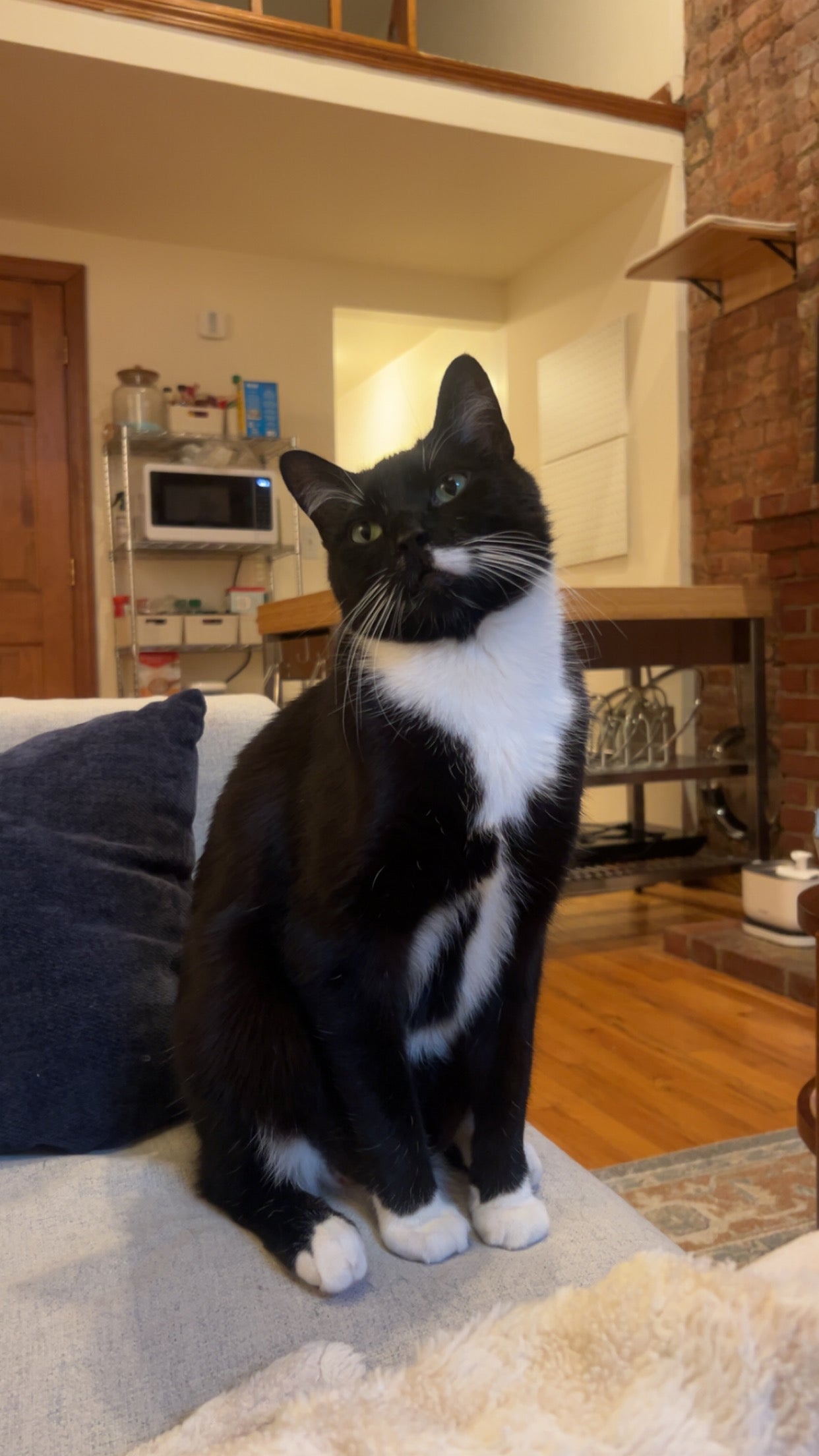 Before portrait example 1