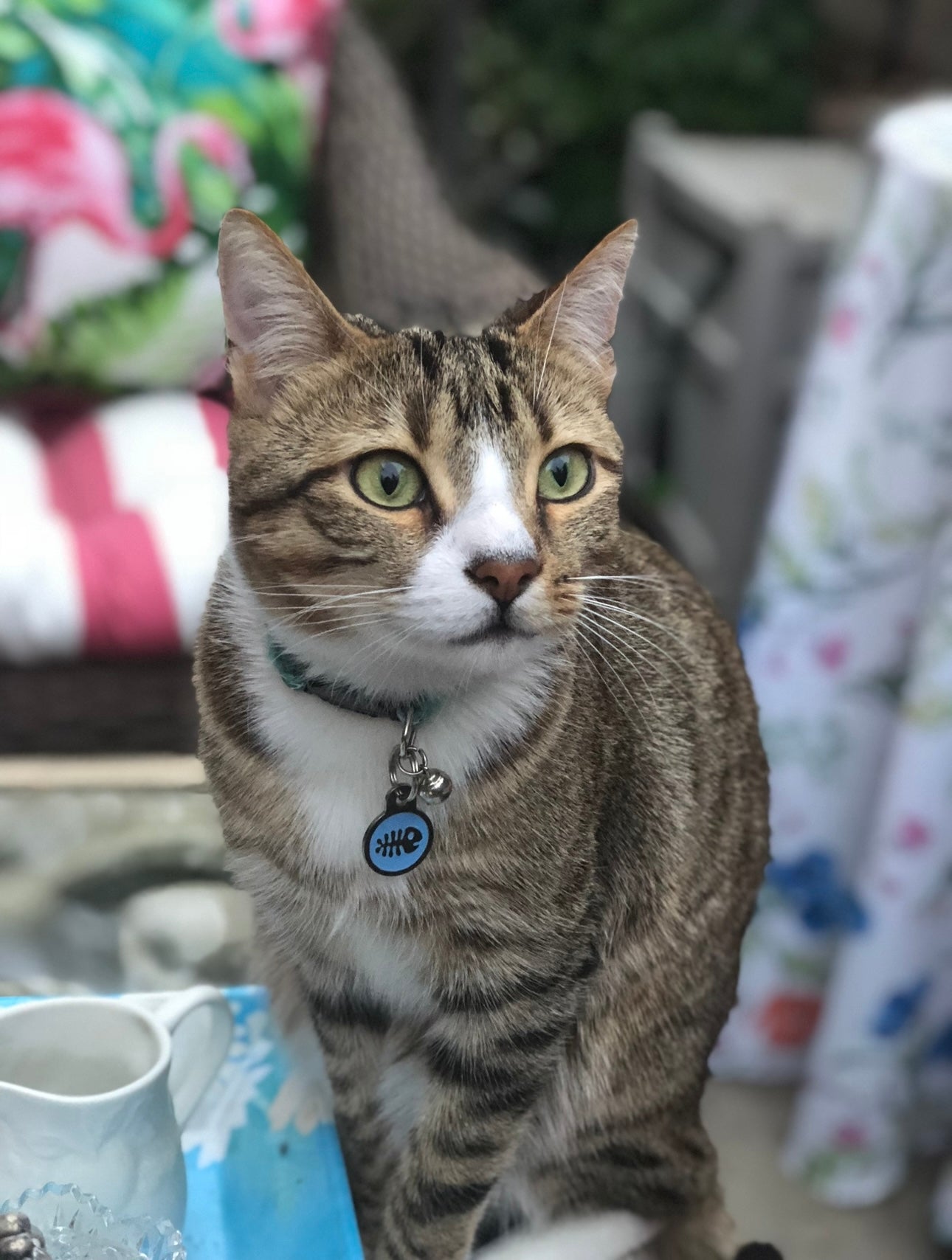 Before portrait example 2