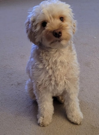 Before portrait example 3